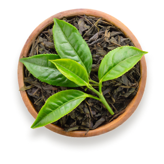 green-tea-logo